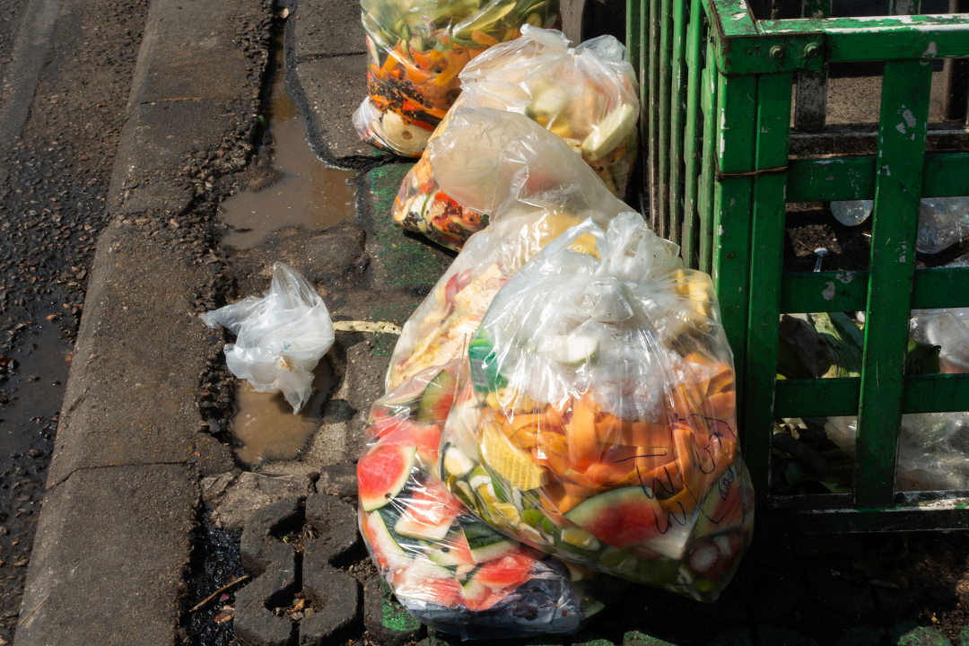 food, waste, america, sustainability, consumption