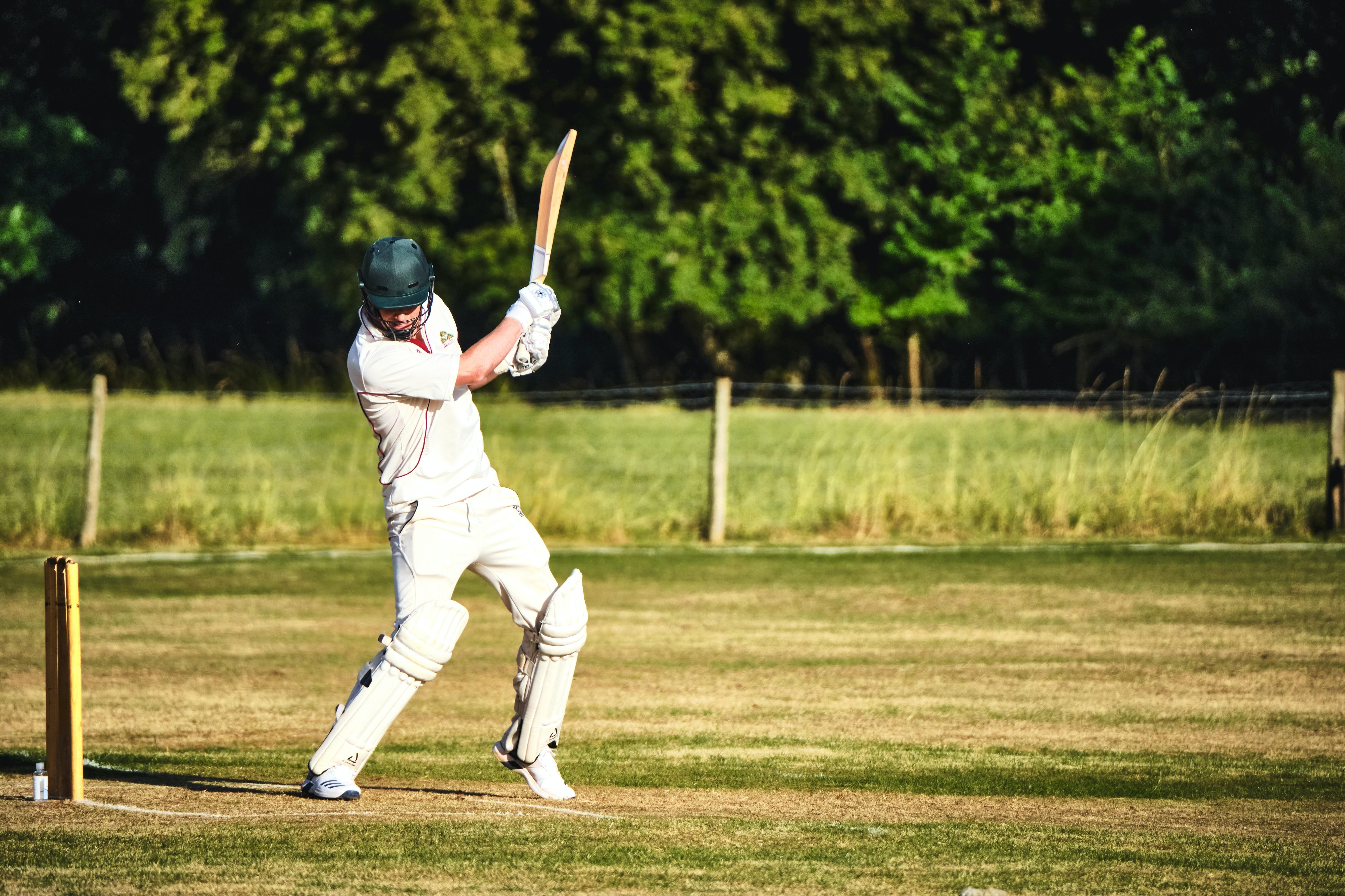 cricket, India, celebrating holiday, University of Michigan