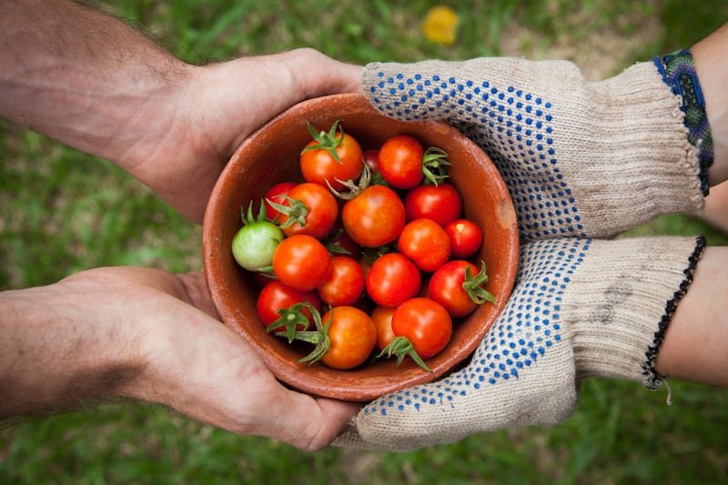 one person handing another person a bowl of cherry tomatoes