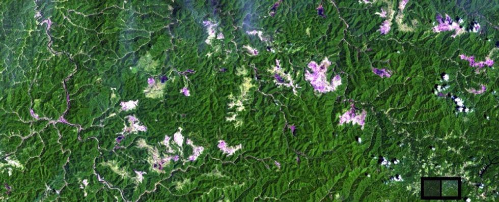 resources, coal, West Virginia, ecology