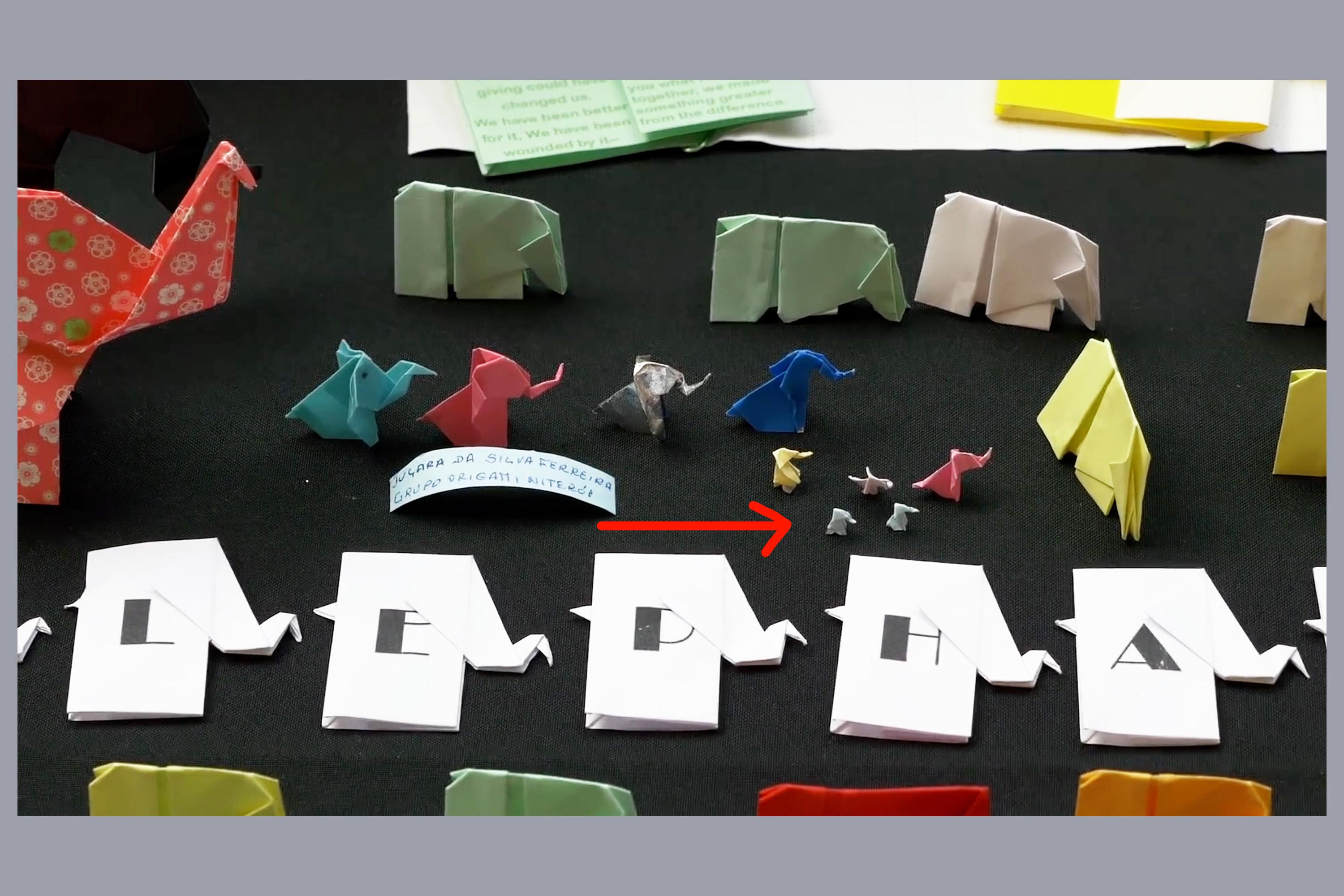 display, pubic exhibition, Wildlife Conservation Society, world record