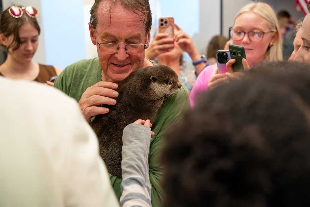 splash otter florida, florida, otter, search and recovery, police, k9 unit, splash otter, wildlife, florida news