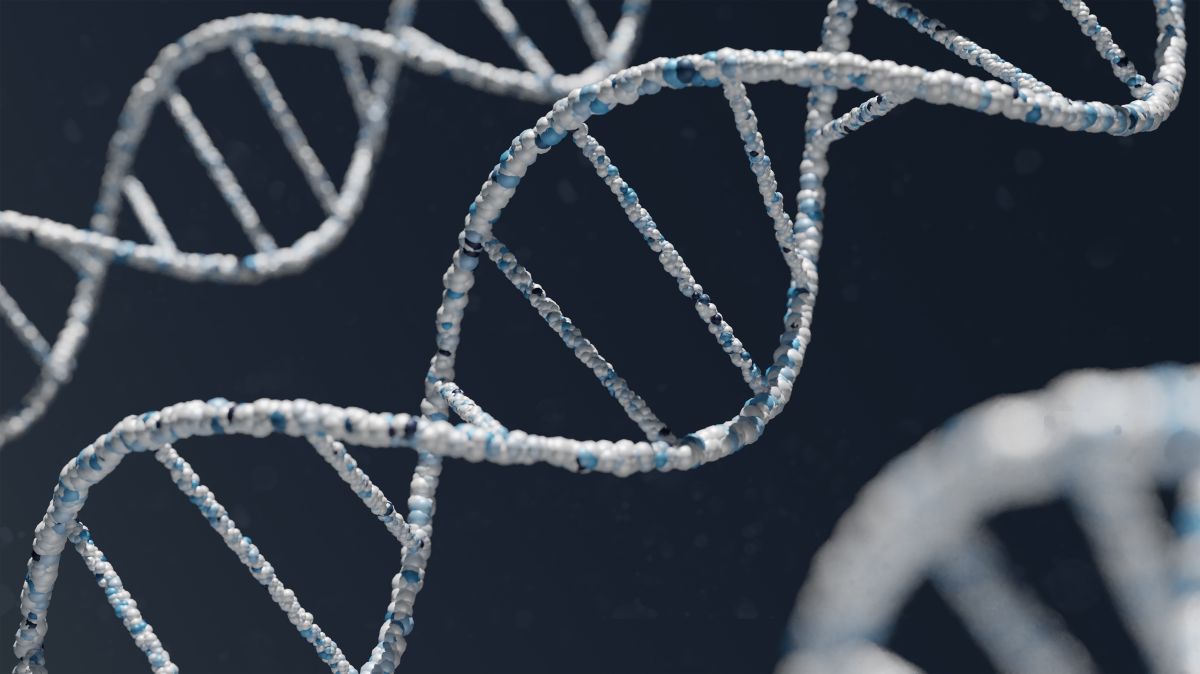dna, dna strand, dna test