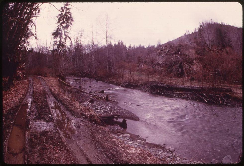 rebuilding, Olympic Peninsula, logging