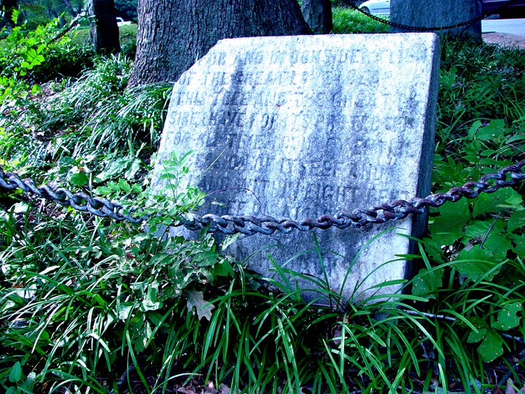 tree owns itself, athens georgia, georgia landmarks
