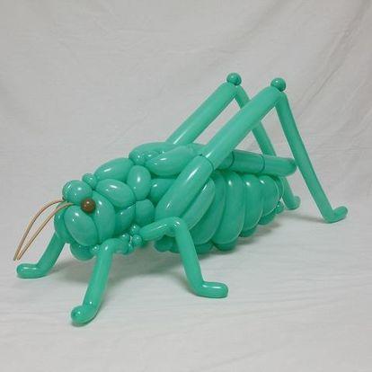 crickets, fables, locust, games