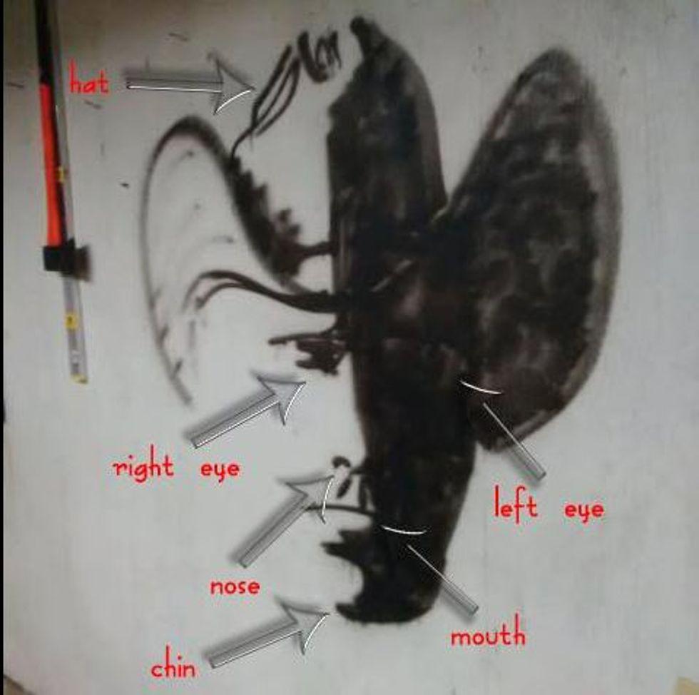 optical illusion of a cowboy labeled so viewers can see the image clearly.