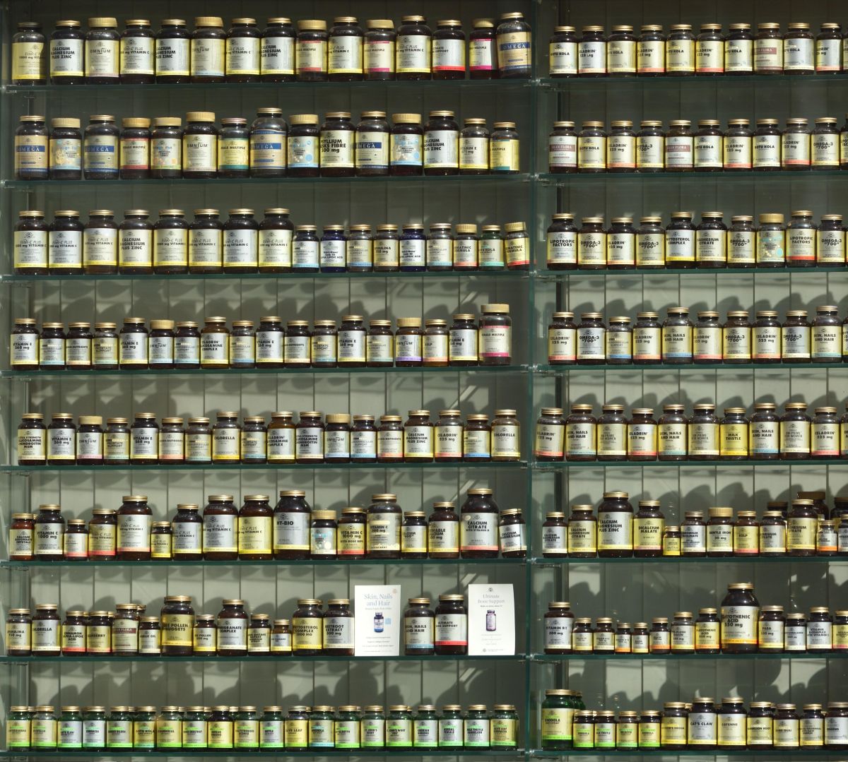 education, health, supplements, scientific studies