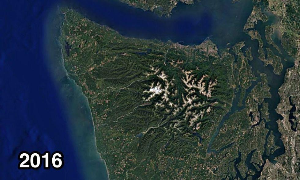 ecosystem, timber, wood