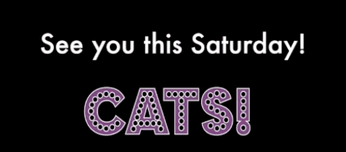 flashing cat ad