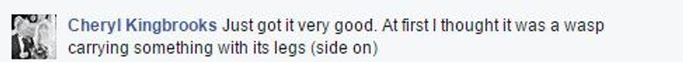 Facebook comment that reads,