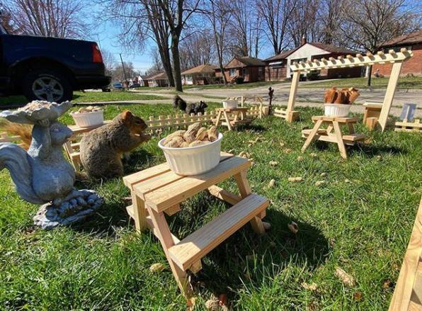 peanuts, Facebook Live, shaky cam, streaming