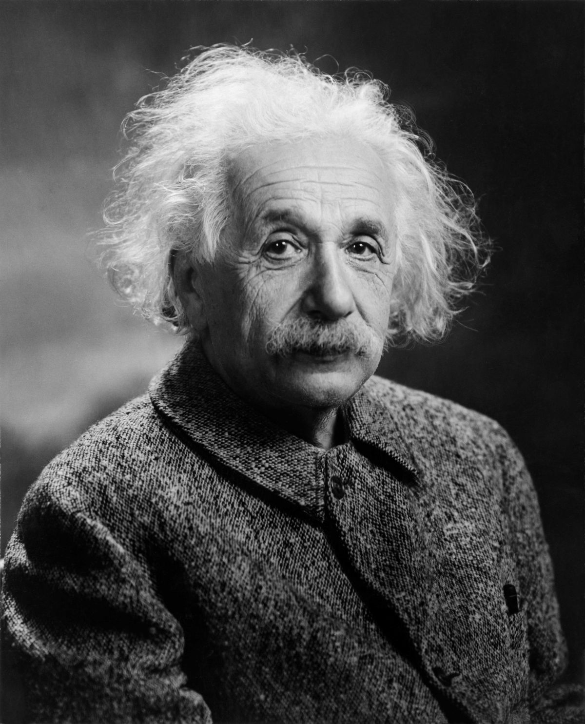 einstein, albert einstein, albert einstein metaphor, einsstein metaphor, metaphors