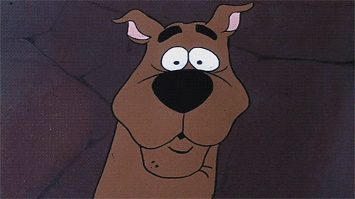gif of Scooby Doo looking surprised