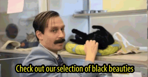mustached man advertises a black cat