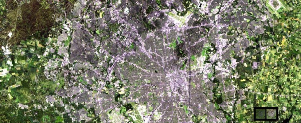 Alamo, Spurs basketball, environmental impact