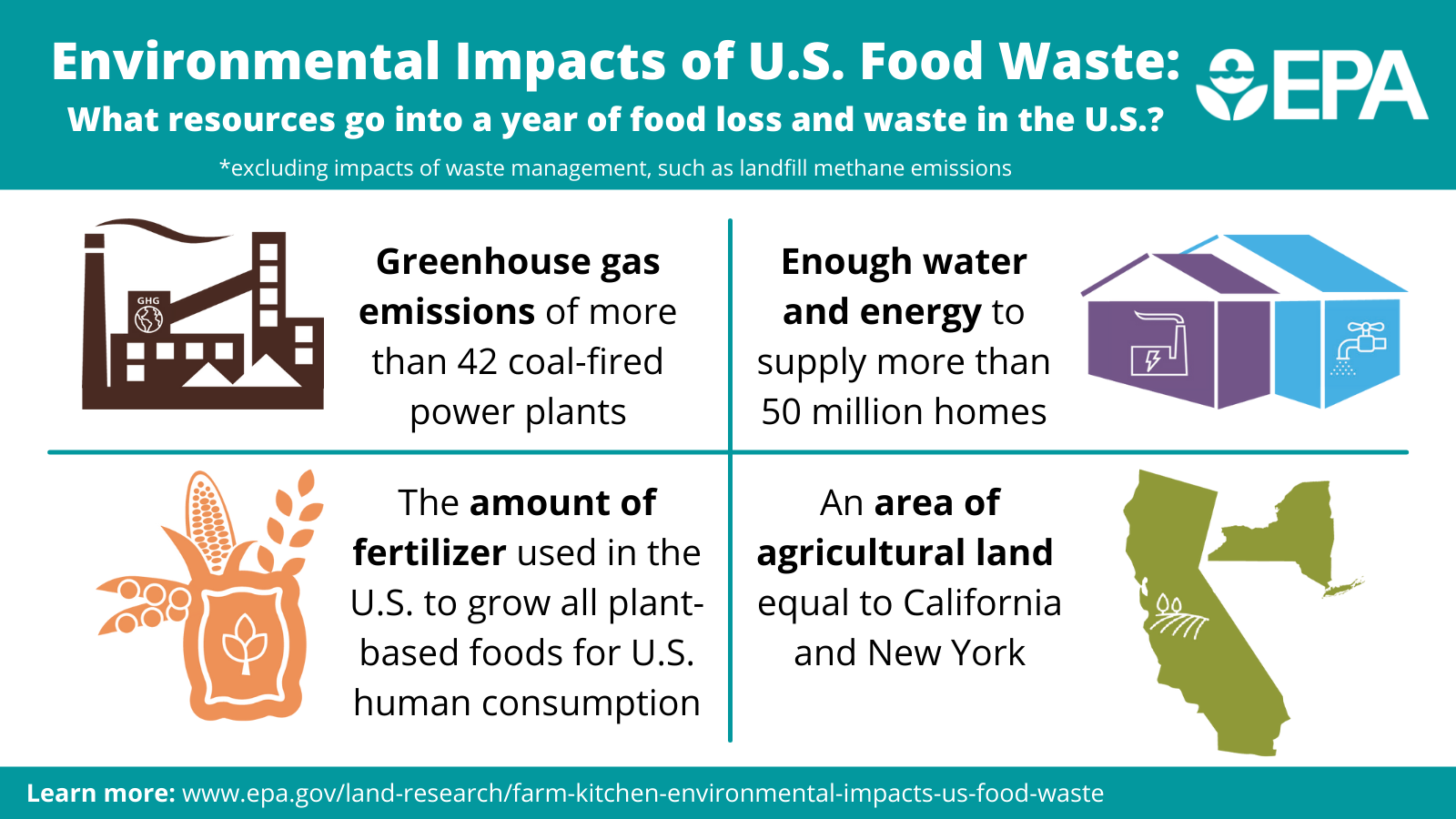 food, waste, america, issue, consumption