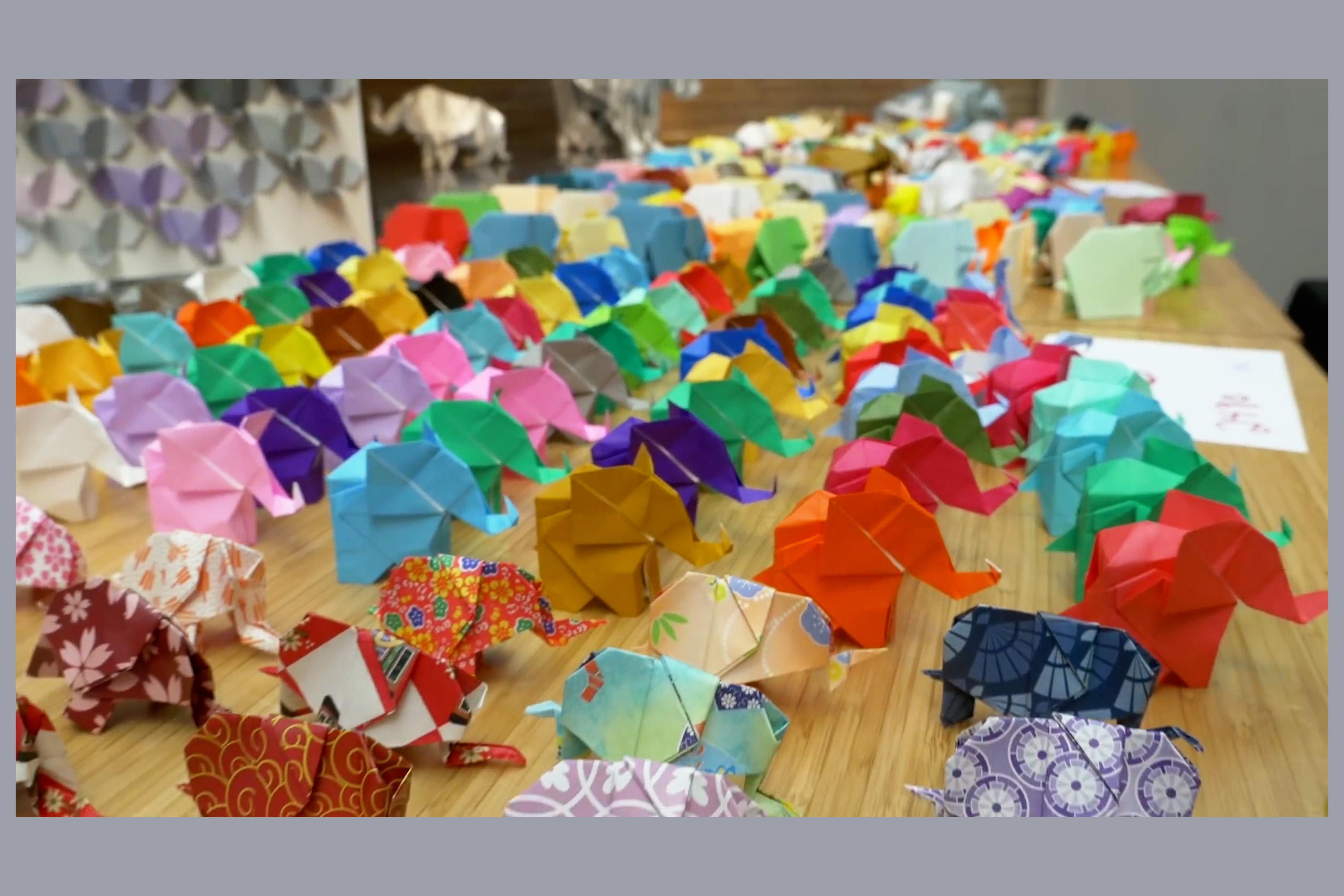 origami, elephant conservation, nature, participation