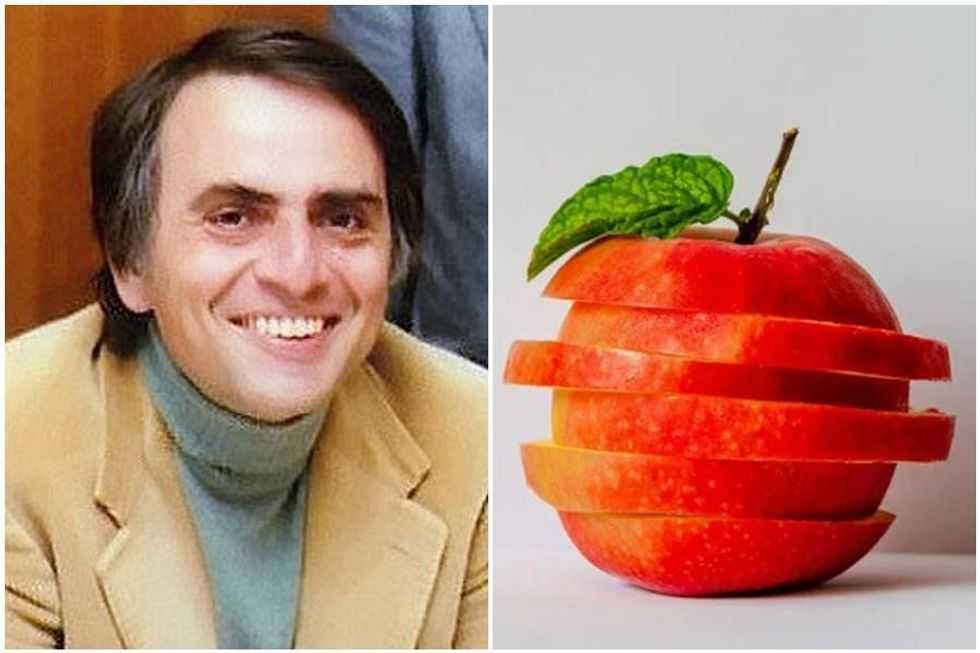 carl sagan, cosmos ,4th dimension, 3-D, 4-D, 2-D, physics, theoretical physics, math, science, space, spacetime, einstein