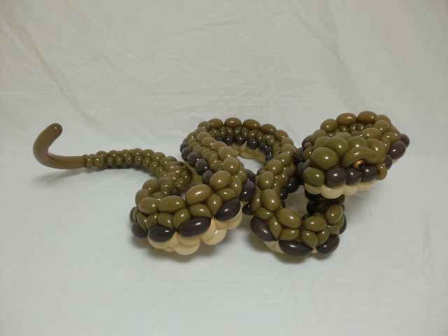 venomous, pythons, snakes, herpetology