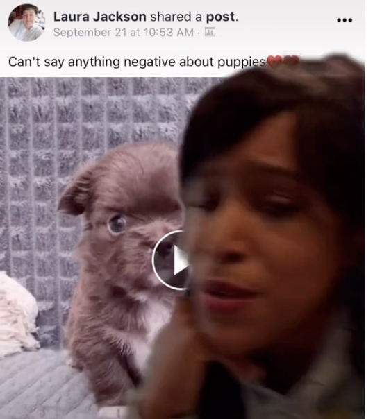 White Lives Matter infiltrated