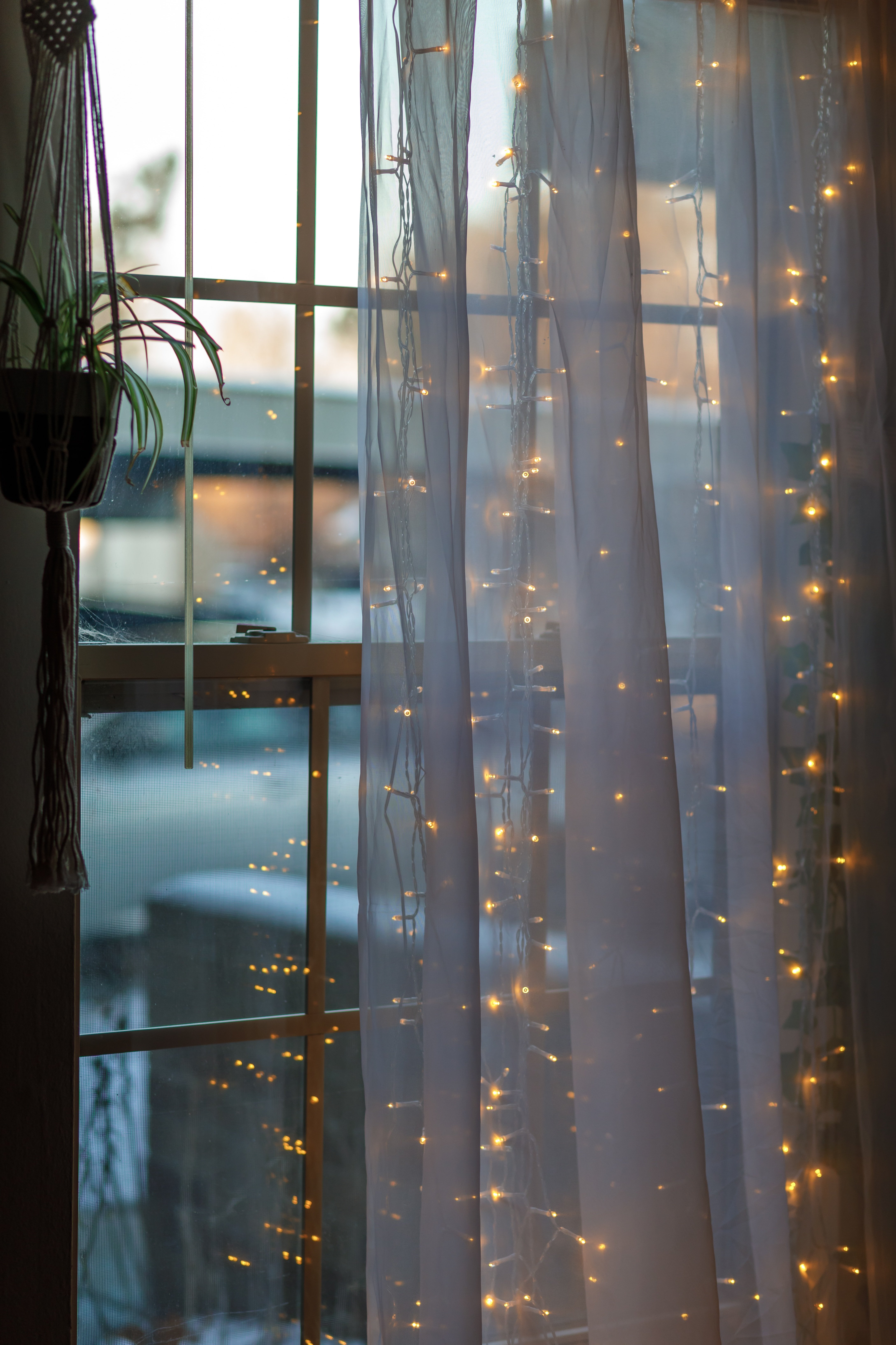string lights in front of a window