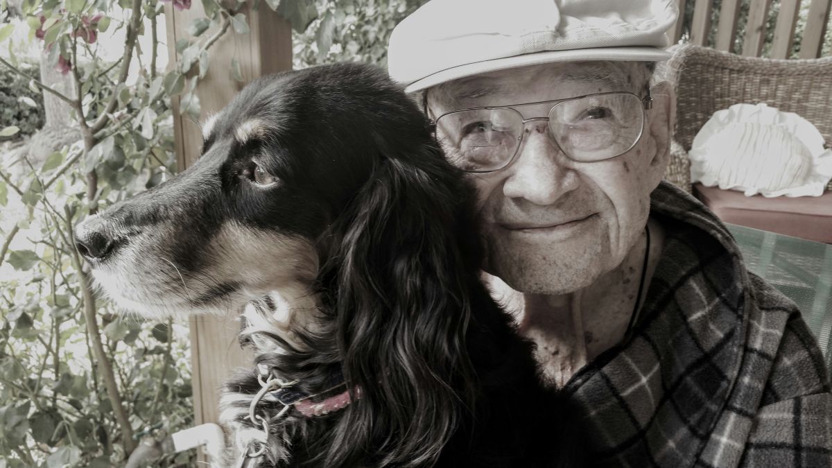 meals on wheels; pet food delivery; meals on wheels and pets; elderly care and pets; pet and elderly care