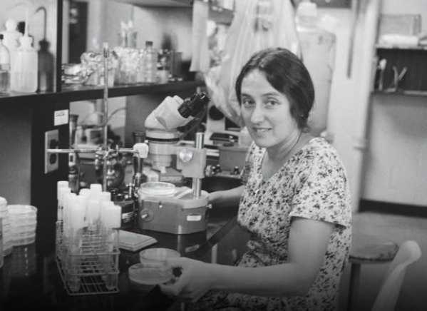 Her groundbreaking theory on the origin of life was rejected 15 times. Then biology proved her right.