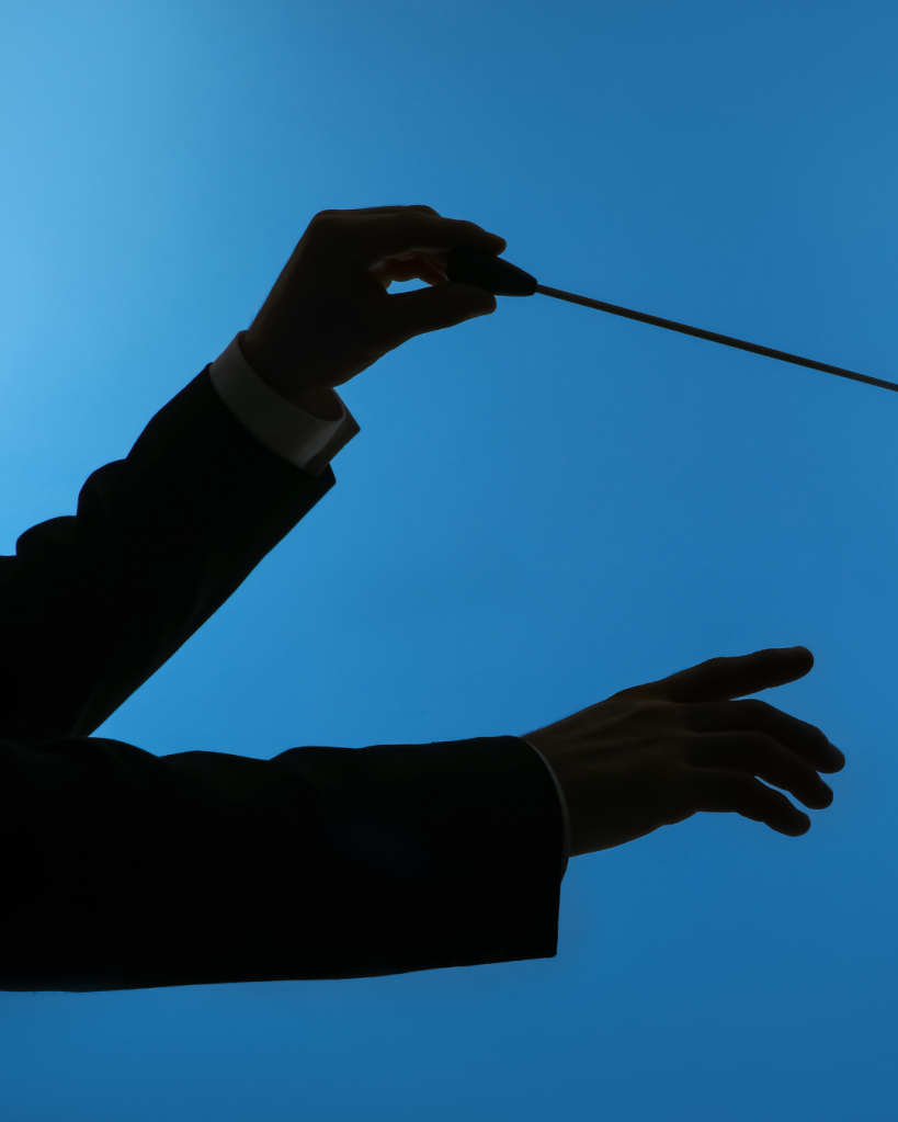 conductor, personality, types, work, rhythm