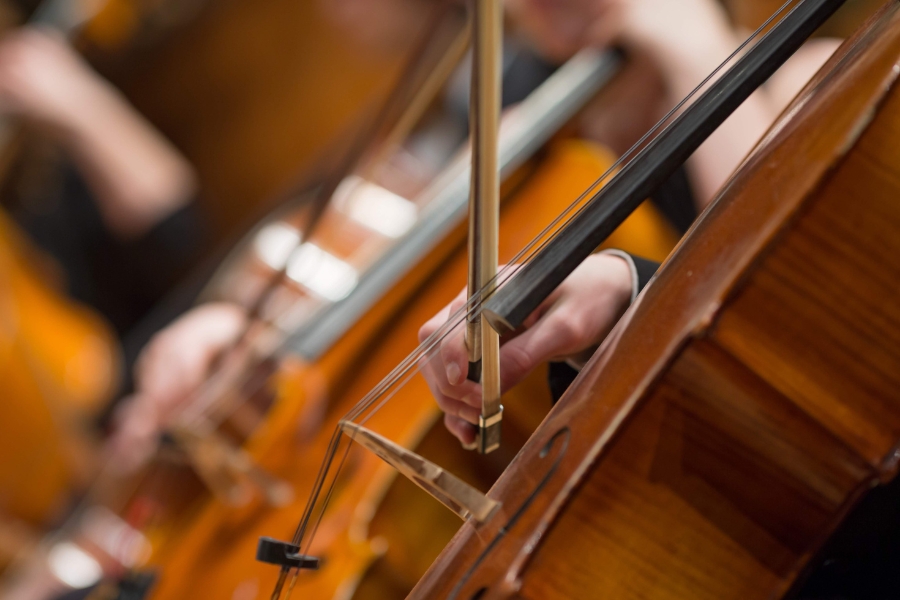 Close up photo of people playing the cello in an orchestra