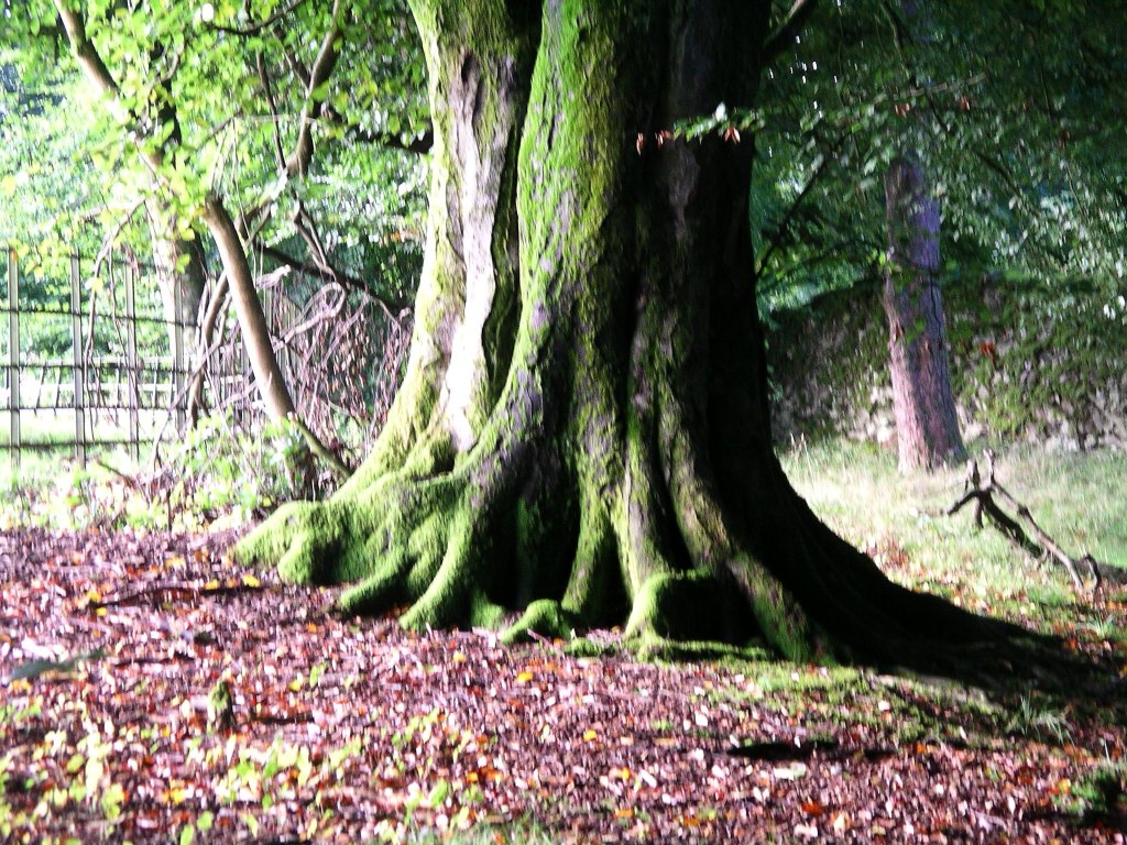 survival, survival myths, prepping, wilderness, lost, television, movies, bear grylls, survivor man, desert