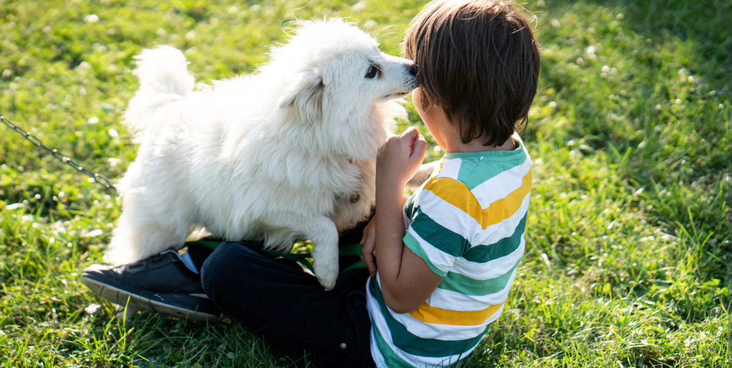 dogs, animal behavior, kids and pets, anxiety, human-animal bond