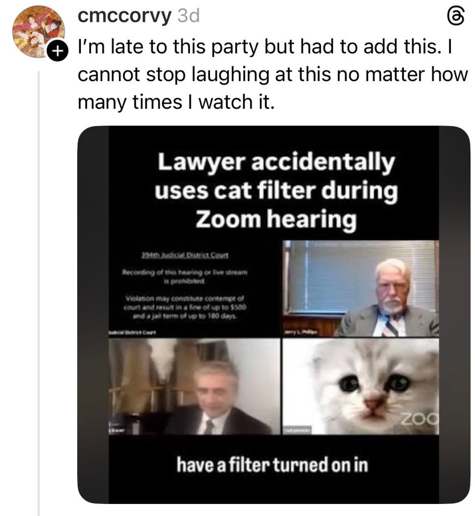 lawyer, cat, zoom, funny
