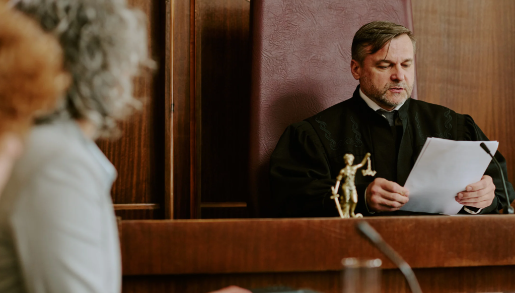 When an autistic 12-year-old showed up to back his mom in court, his reactions to her violations stopped the room