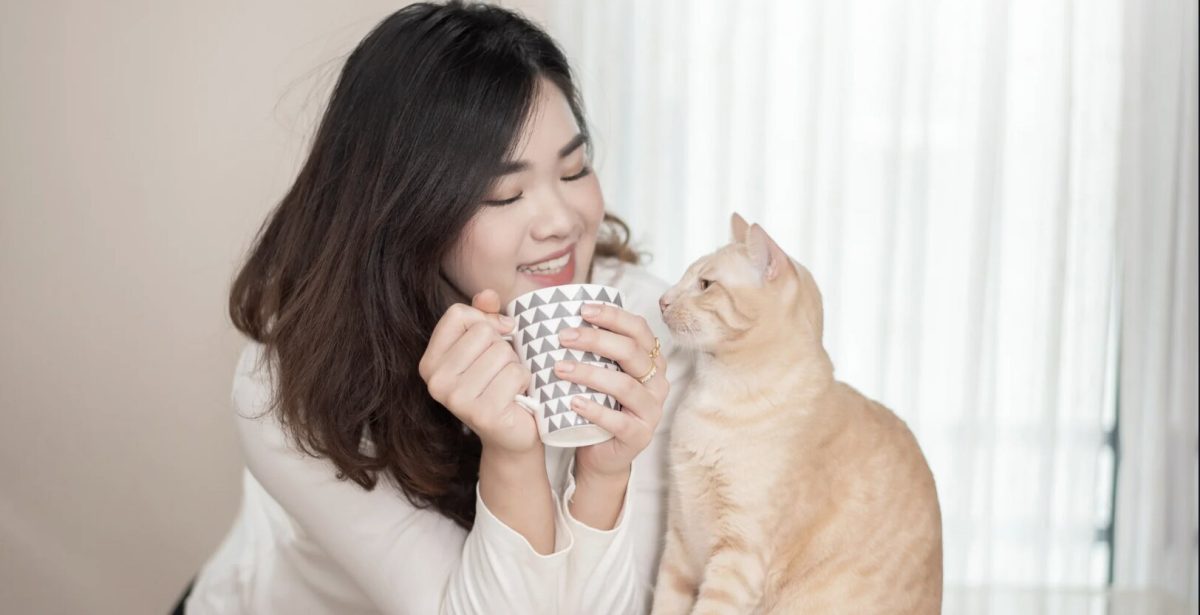 A new law in Sweden requires its citizens to check on their cats at least twice a day