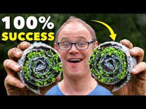 A gardener holds up a seed snail seed starter