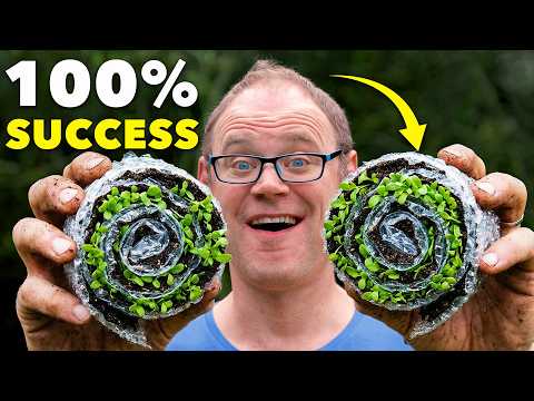 Gardener shares ‘revolutionary’ way of starting seeds indoors using recycled packaging