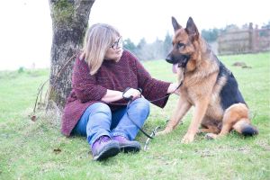 german shepherd, dog smells cancer, dog saves life, wholesome, pets, culture
