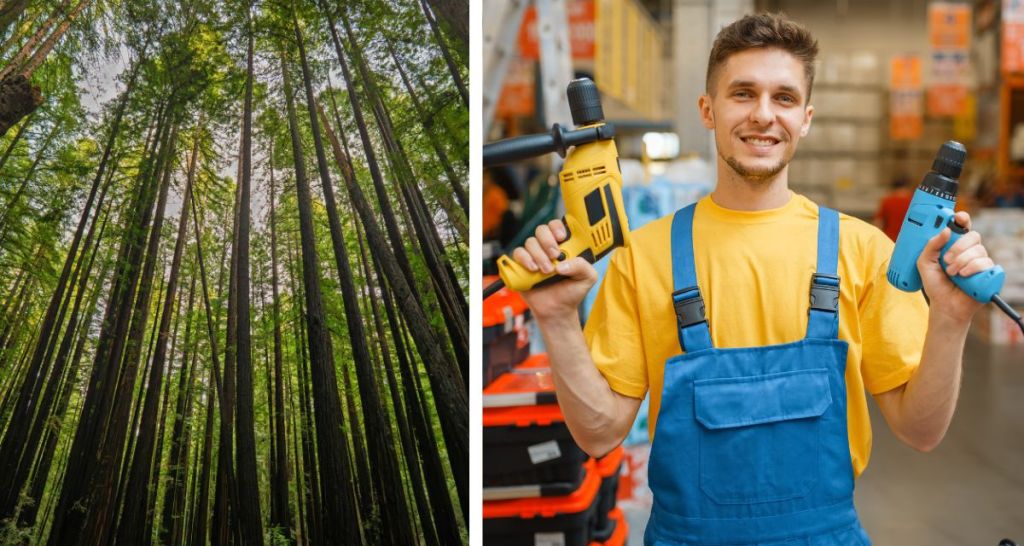 From the Sequoias to ‘huge’ hardware stores, here are 14 U.S. places foreigners dream of visiting