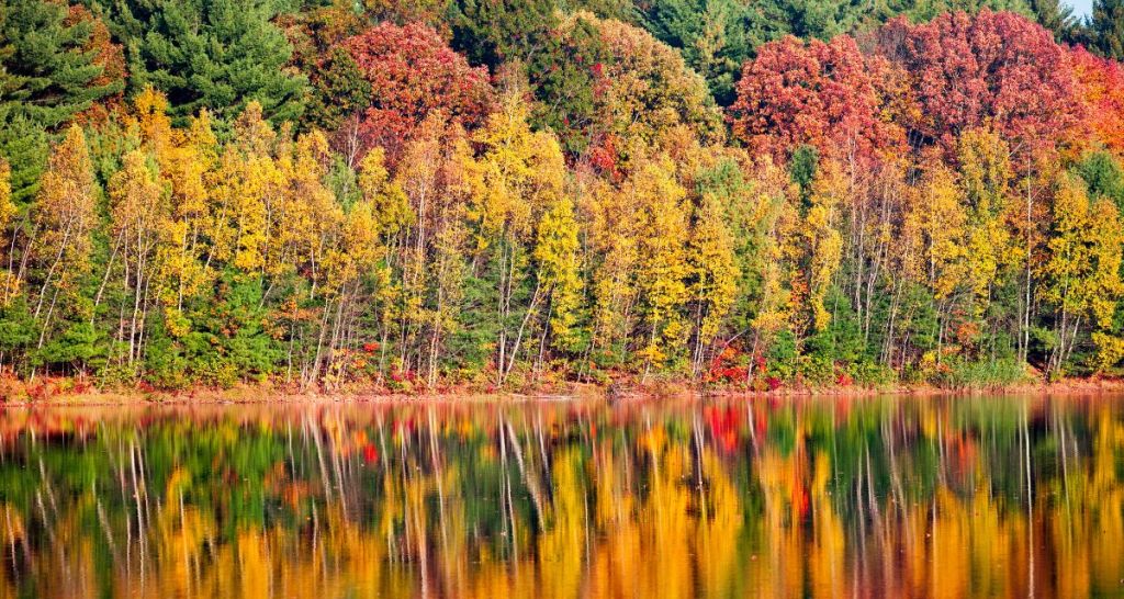 America, reddit, culture, travel