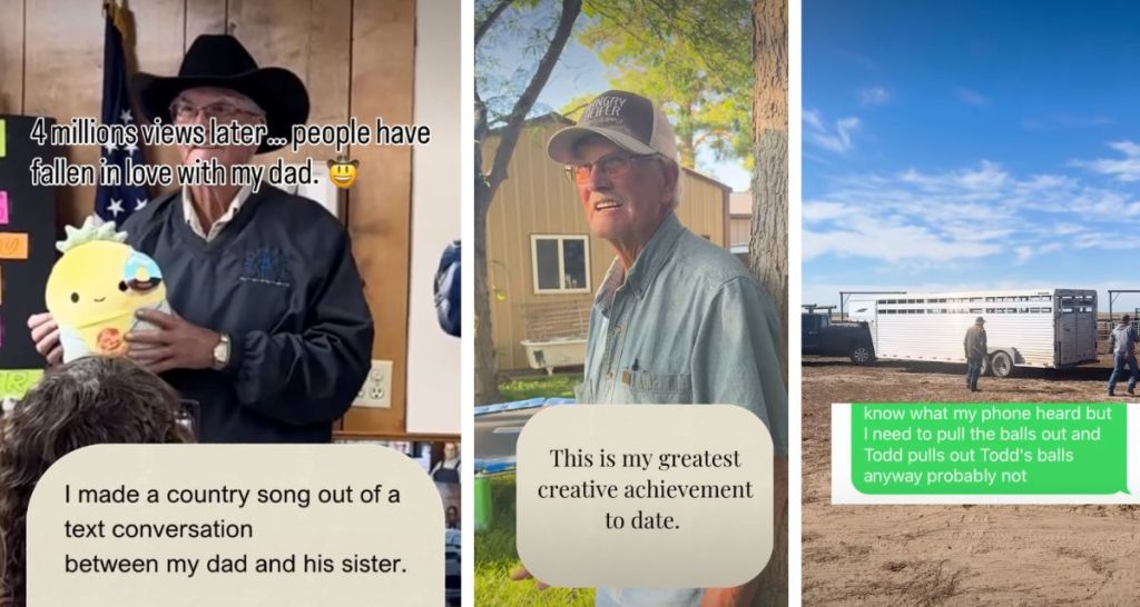 country song, voice to text, funny