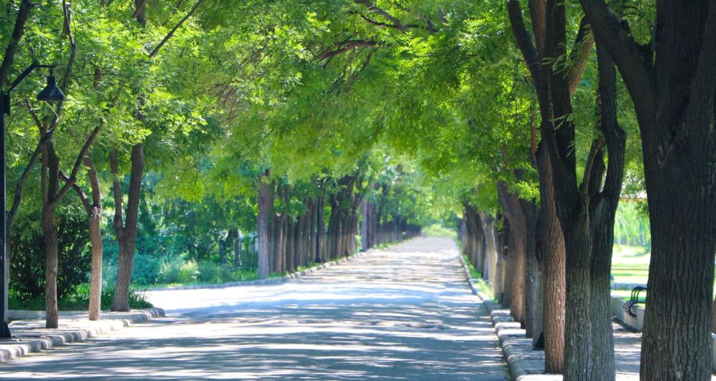 street vs road, street signs, english, fun facts