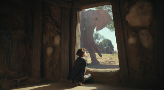 elephants, safari park, san diego, san diego zoo, elephant valley