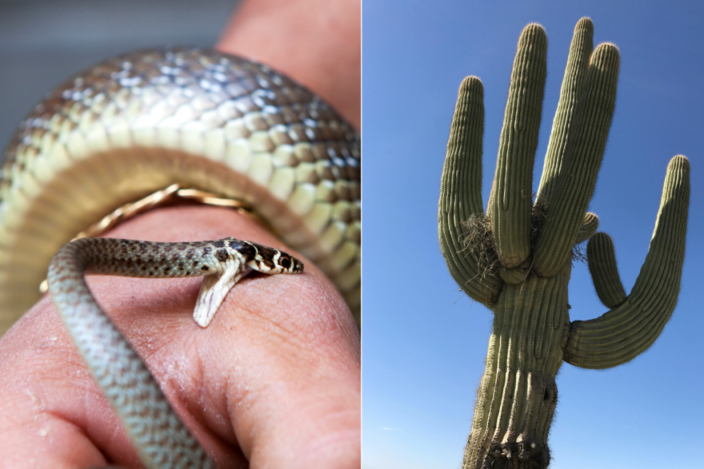 6 super-popular survival and safety myths that are in dire need of busting