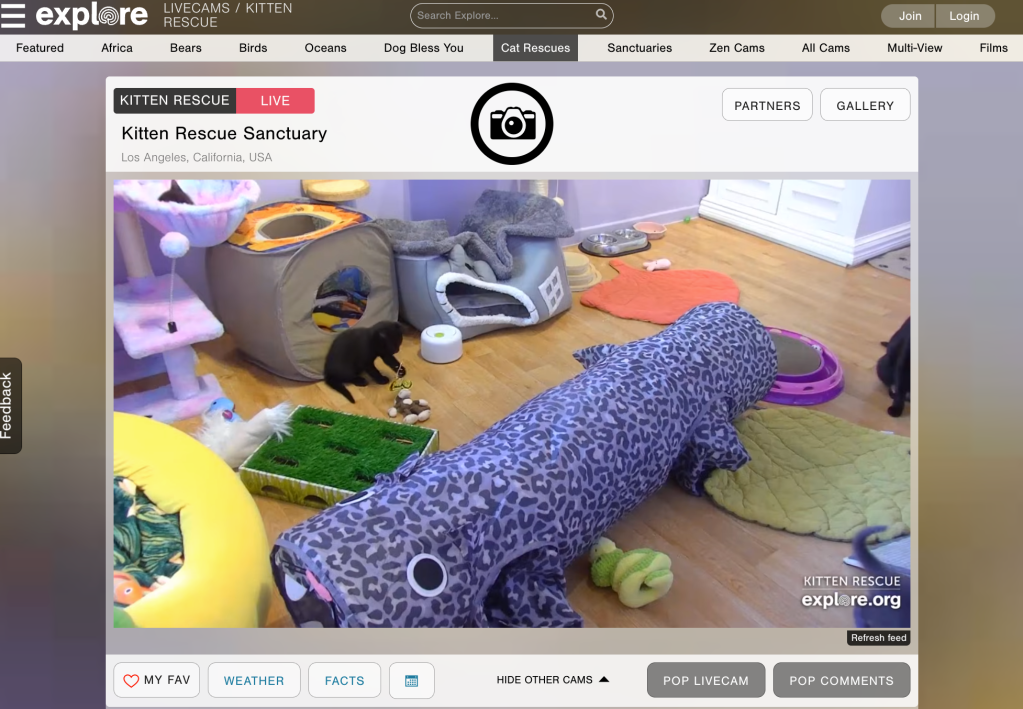 underground, website, internet, explore, nature