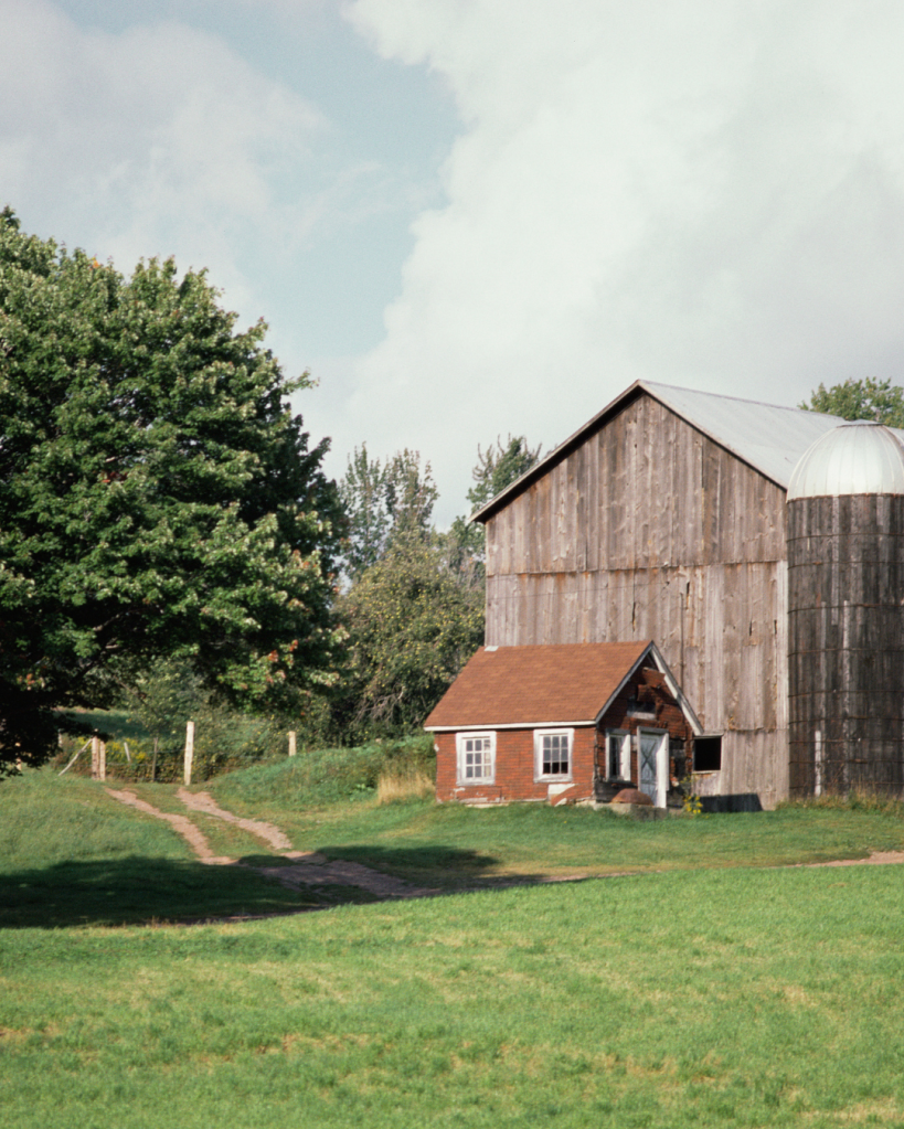 farmer, alan, french, development, farm