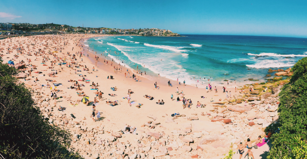 Prince Harry, Meghan Markle, viral, Australia, celebrity