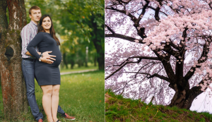 cherry tree, love, pregnancy, relationships, viral videos