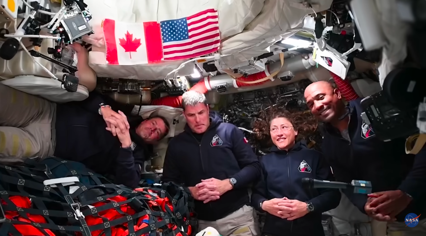nasa, artemis, crew, space