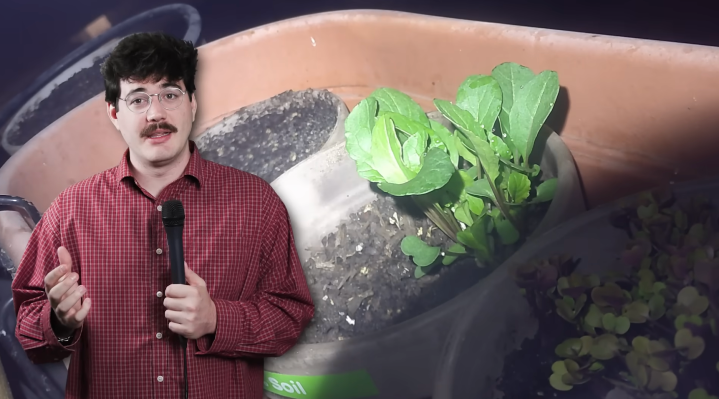 fast food, McDonald's, making soil, growing vegetables, food